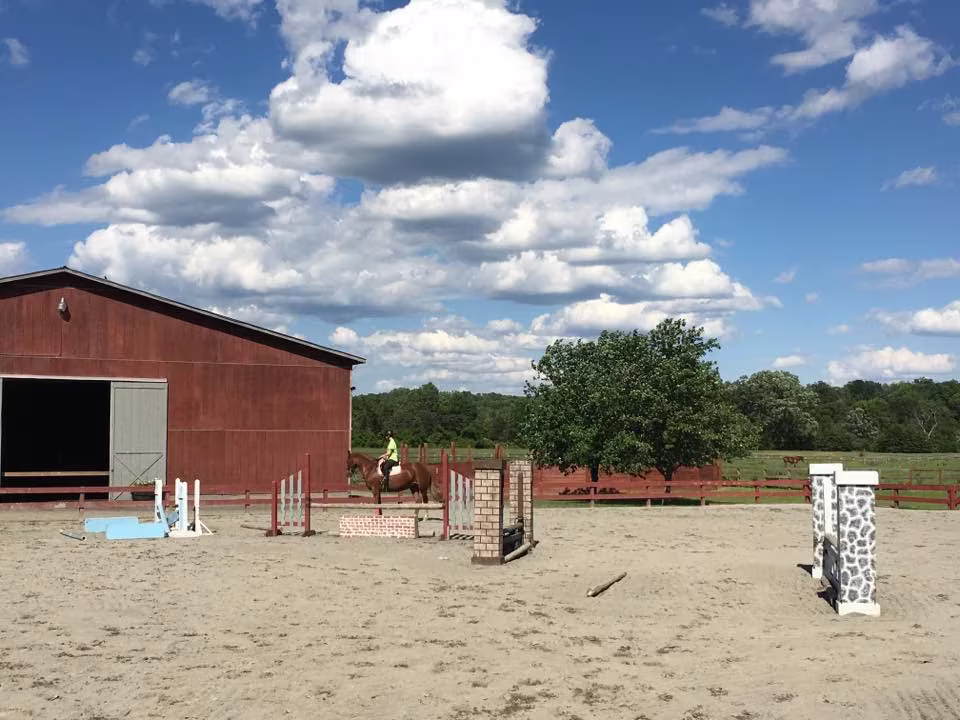 Immaculate stable aisle at Greystone Stables New York
