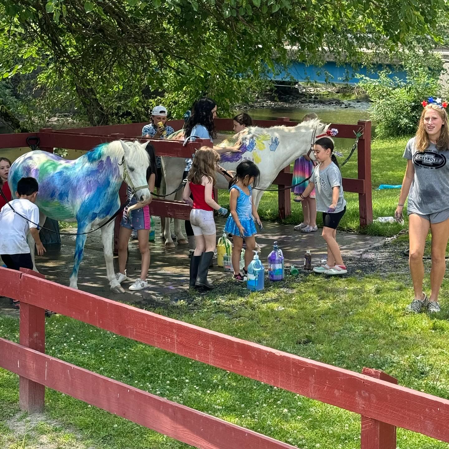 Summer Day Camp