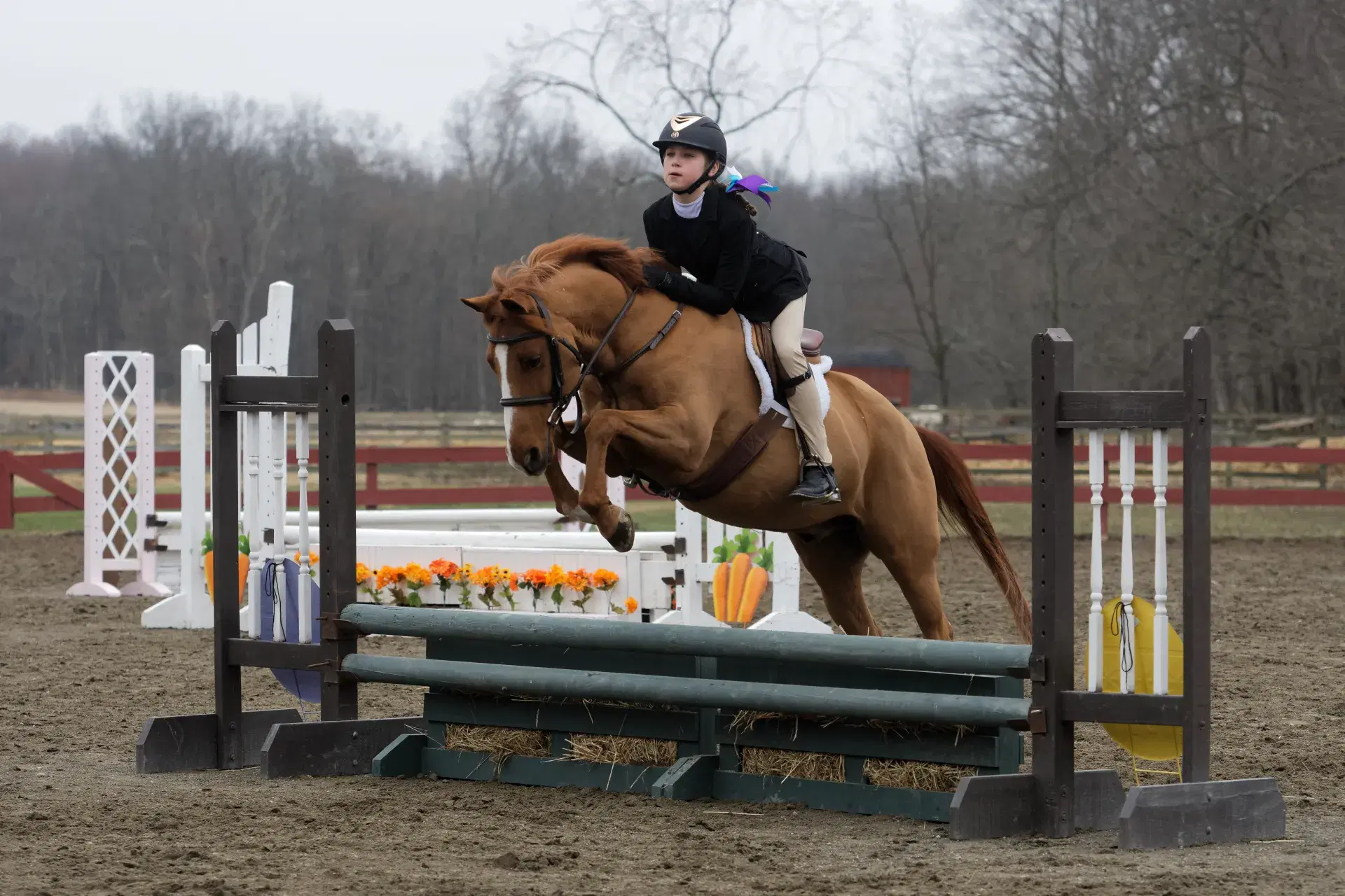 Advanced Group at Greystone Stables