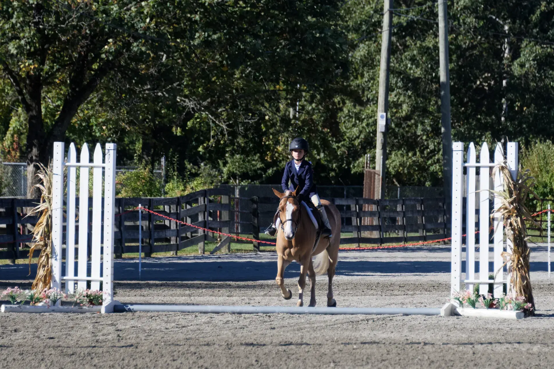 Beginner Private at Greystone Stables