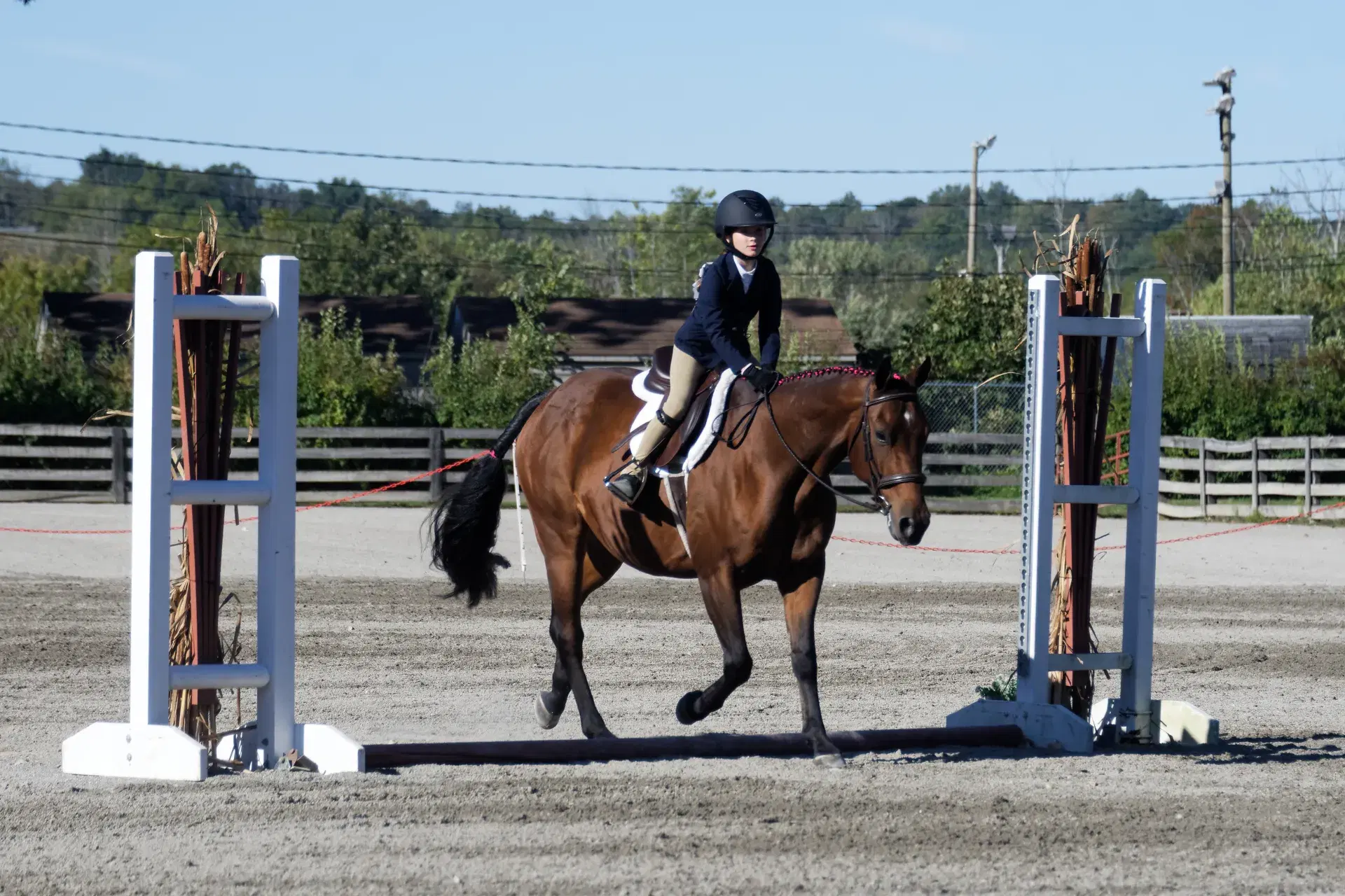 Beginner Group at Greystone Stables